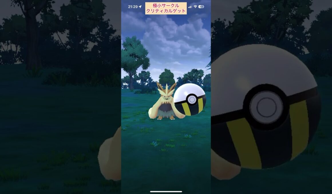 【難易度低】ムーランド極小サークルクリティカルゲット【ポケモンGO】