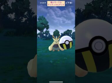 【難易度低】ムーランド極小サークルクリティカルゲット【ポケモンGO】