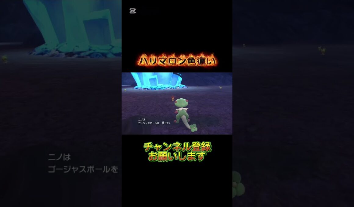 【ポケモンsv】ハリマロン色違いゲット‼️