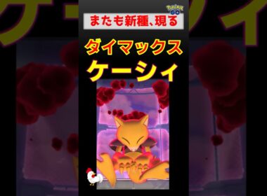 予告編【新種！ダイマックスケーシィ】 #ポケモンgo #ポケモン #pokemongo #ダイマックス #ケーシィ