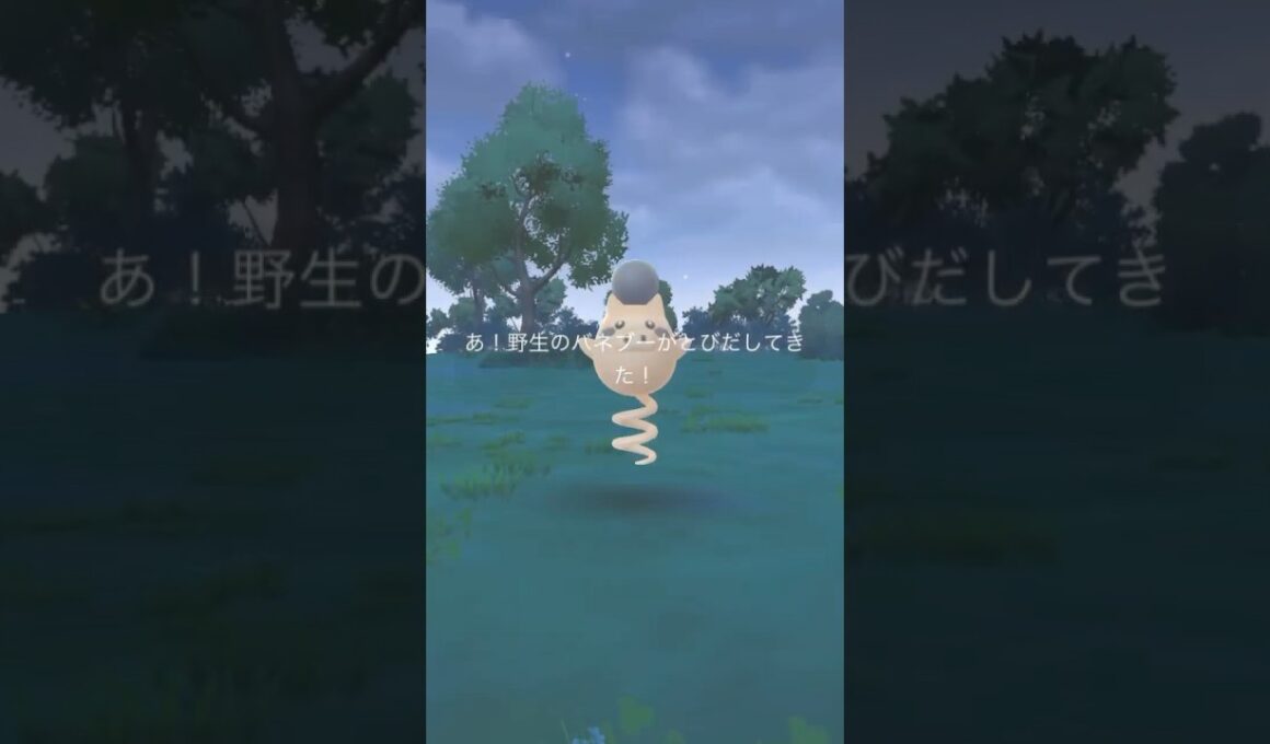 ごめんすごい馴染みで自然で違和感なくて一瞬気づかなかったwww【 ポケモンgo 】色違い バネブー ！ちょっとスルーしそうでしたw #ポケモンgo #ポケモン