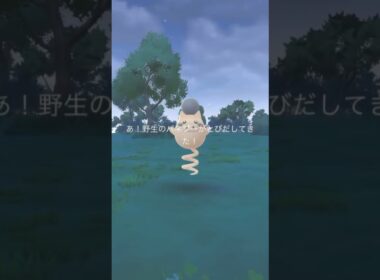 ごめんすごい馴染みで自然で違和感なくて一瞬気づかなかったwww【 ポケモンgo 】色違い バネブー ！ちょっとスルーしそうでしたw #ポケモンgo #ポケモン
