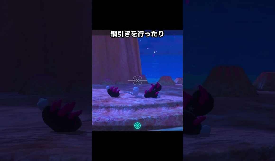 キモカワ？？内臓で遊ぶナマコブシ #ポケモン #newポケモンスナップ