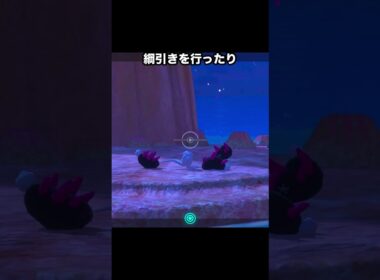 キモカワ？？内臓で遊ぶナマコブシ #ポケモン #newポケモンスナップ