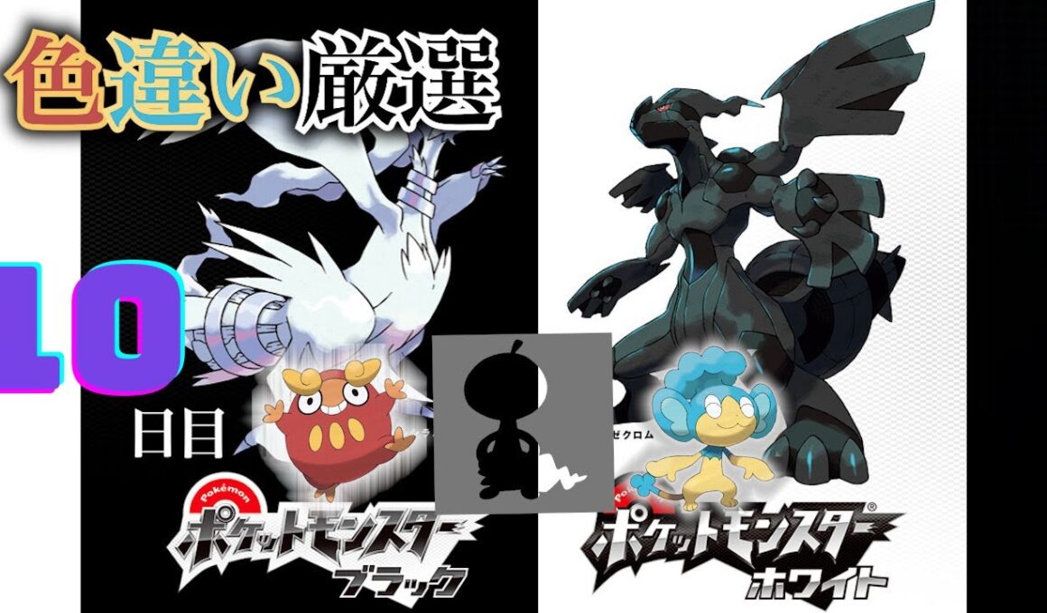 【ポケモンBW】4番道路(Shiny Pokémon)厳選(10日目) ~ヒヤップを添えて~