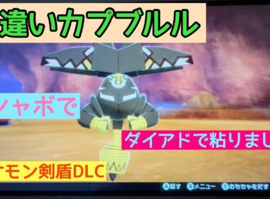 ダイマックスアドベンチャーで色違いカプブルルオシャボで粘りました。【ポケモン剣盾】【直撮り】【ダイマックスアドベンチャー】