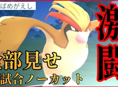 【波瀾】つばめ型ピジョットの使用感が最高すぎる？！【GBL】【スーパーリーグ】