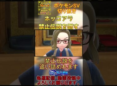 【ネッコアラ育成論】禁止伝説を追い詰めるネッコアラが楽しすぎたwww【#ポケモンsv 】【#碧の仮面 】【#藍の円盤 】#shorts