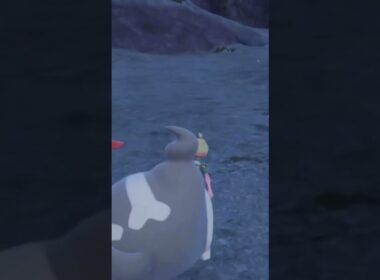 ピッピの踊り【ポケモンSV】#shorts