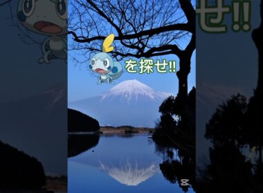 メッソンを探せ!!中級😖#ポケモン #shorts #ポケモンクイズ