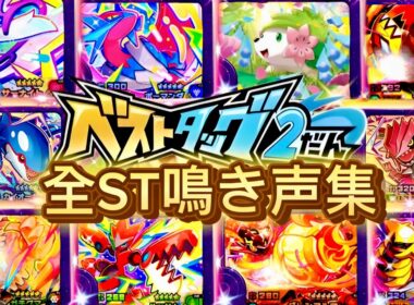 【ベストタッグ2だん】全ST鳴き声集!!!草むら対策・フレンダ・初心者・カイオーガ・グラードン・ギラティナ・ガチグマ・カプコケコ・メガサーナイト・メガハッサム・メガボーマンダ・シェイミ・グレンアルマ