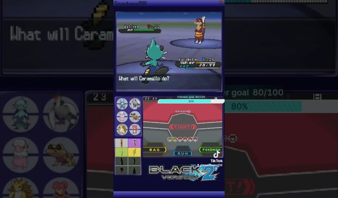 I'll never be convinced to like Watchog  | Pokémon Black Version 2