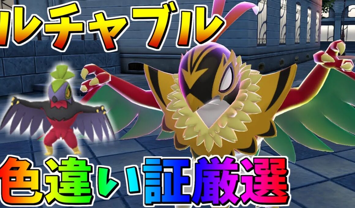 メガ進化に備えてルチャブル色違い証厳選【ポケモンSV】