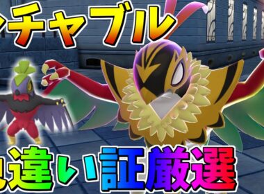 メガ進化に備えてルチャブル色違い証厳選【ポケモンSV】