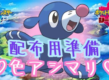 【配布企画】メス色アシマリ大量捕獲。登録者5000人で配布します(^O^)💙【#ポケモン剣盾】#ポケモンSV