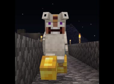 2025/9/18 お尻を出した子一等賞（RTA）