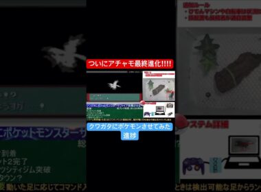 [進捗]ようやくアチャモ最終進化！[クワガタでポケモンクリア][ポケットモンスターサファイア
