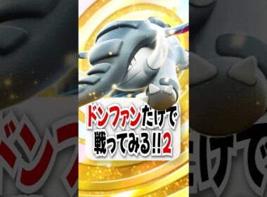 【検証】ドンファン単騎×メモリーライトで戦ってみたら重大な問題が発覚したw【ポケポケ】