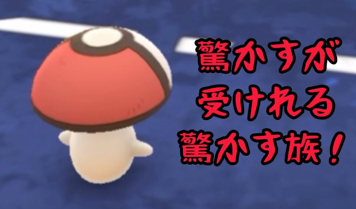 【タマゲタケ】まだバレてない！使いどき！【ハロウィンリトル】