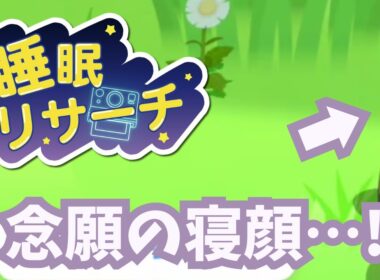 🌘★3ライコウを求めて【ポケモンスリープ】