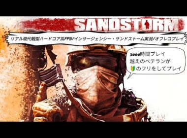 リアル現代戦型ハードコア系FPS/INSURGENCY SANDSTORM/インサージェンシー・サンドストーム 実況 リハビリする初心者🔰(嘘)