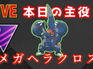 【メガマスター】本日の主役はメガヘラクロス！！