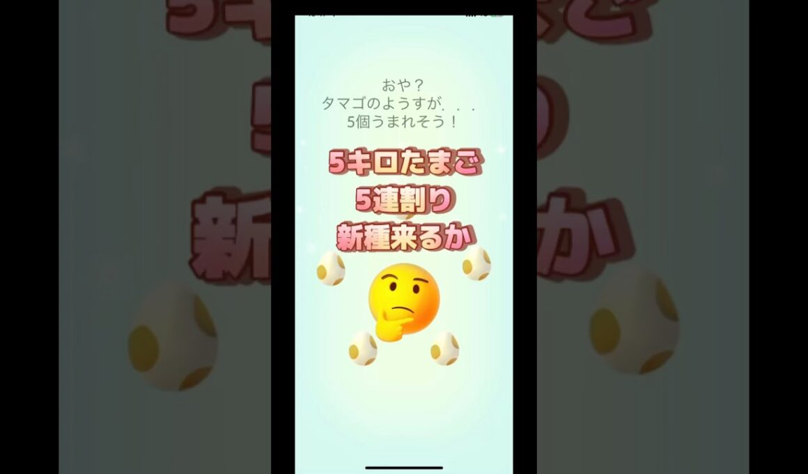 5キロたまご5連割り新種くるか🤔