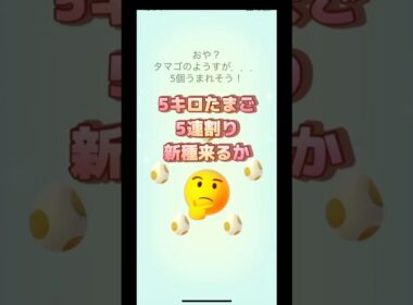 5キロたまご5連割り新種くるか🤔