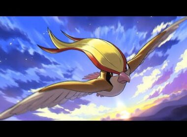 Pokémon GO - Mega Pidgeot Raid
