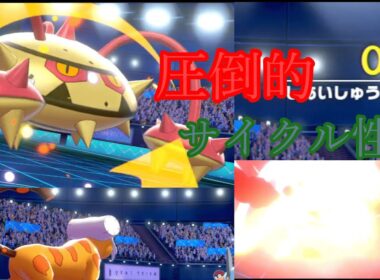 ナットレイのサイクル性能が高すぎて時間切れになったんですけど【ポケモン剣盾】