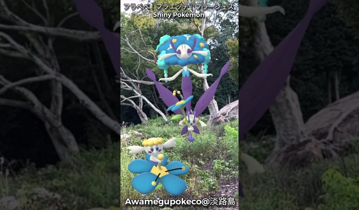 フラベベ｜Flabebe｜フラエッテ｜Floette｜フラージェス｜Florges｜ShinyPokémon【ポケモンGO】PoKeMoN GO AR｜AR動画｜GOsnapshot