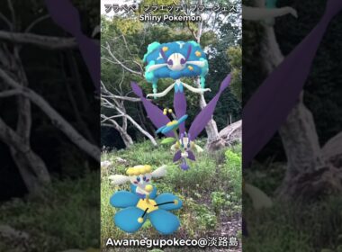 フラベベ｜Flabebe｜フラエッテ｜Floette｜フラージェス｜Florges｜ShinyPokémon【ポケモンGO】PoKeMoN GO AR｜AR動画｜GOsnapshot