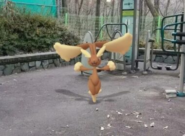 [GO Snapshot Slideshow] 이어롭 ( Lopunny ) ミミロップ ( 長耳兔 )