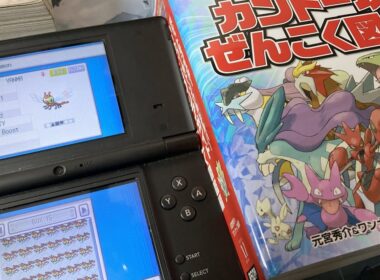 新しい本とシャイニーハンティングアップデート（第4世代アップデート）を購入しました