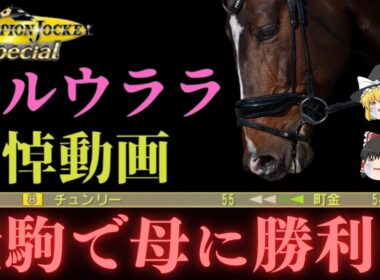 【雑草魂よ永遠に】ハルウララに勝利を　夢は愛娘へ託された　ハルウララ追悼動画　チャンピオンジョッキースペシャル