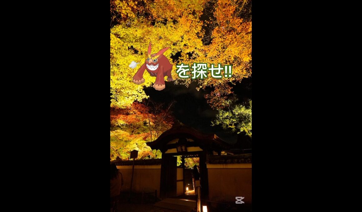 ヒヒダルマを探せ!!上級🔥💪#ポケモン #shorts #ポケモンクイズ