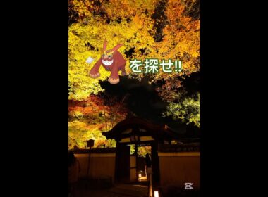 ヒヒダルマを探せ!!上級🔥💪#ポケモン #shorts #ポケモンクイズ