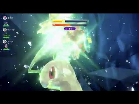 ベイリーフを使ってみた🌱