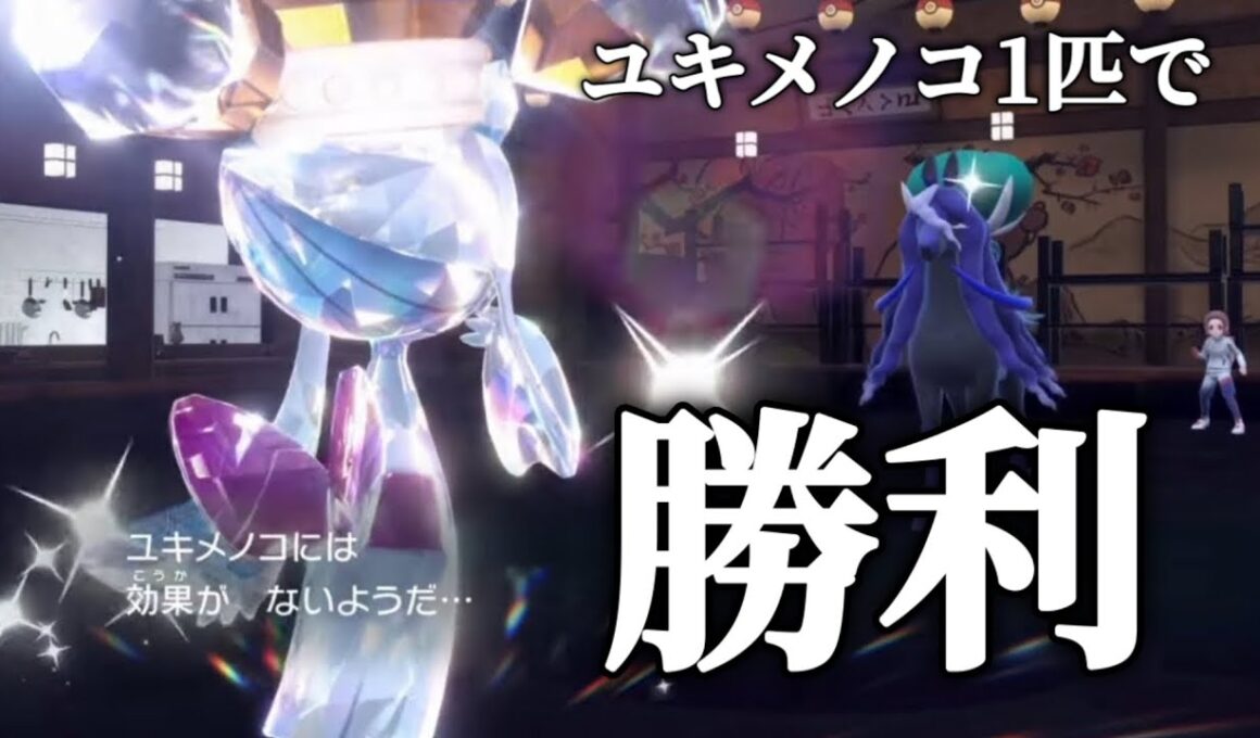 【衝撃】禁伝2体環境でユキメノコが３タテしてしまう【ポケモンSV】
