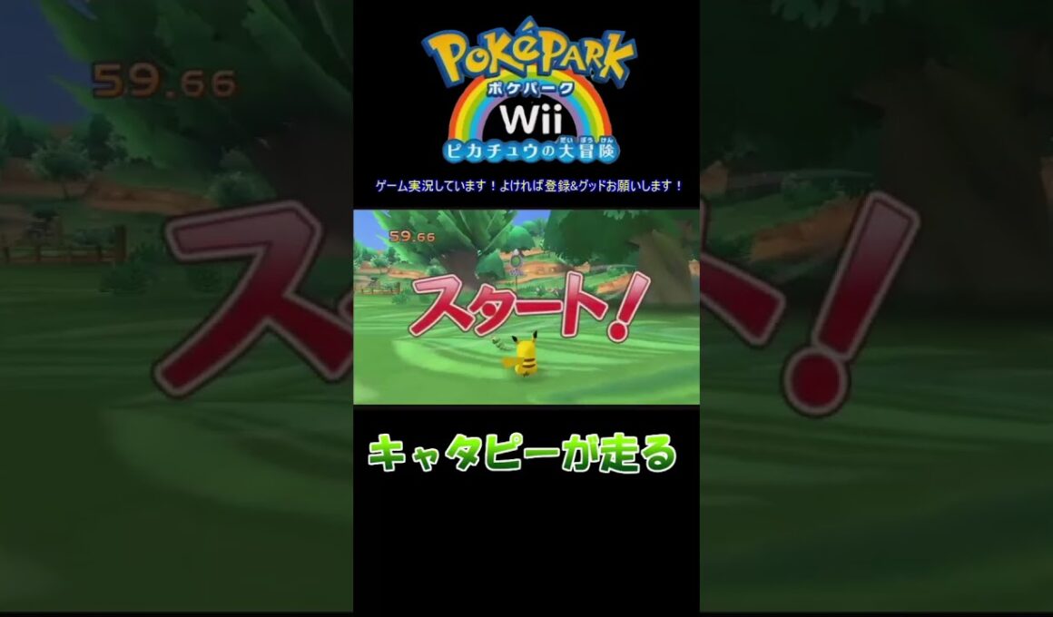 キャタピーって追いかけっこできるんですか！？　ポケパークWiiピカチュウの大冒険