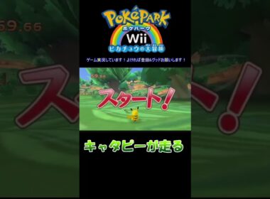キャタピーって追いかけっこできるんですか！？　ポケパークWiiピカチュウの大冒険