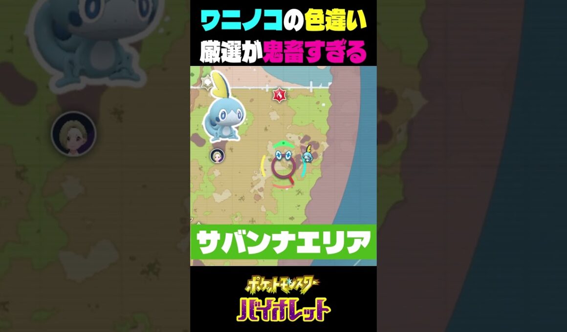 色違いの御三家のワニコノがイケメンすぎる 　#ポケモン #ゲーム実況 #ポケモンsv