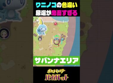 色違いの御三家のワニコノがイケメンすぎる 　#ポケモン #ゲーム実況 #ポケモンsv