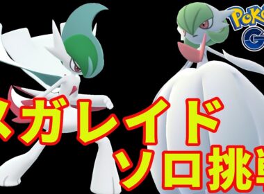 メガサーナイト＆メガエルレイド（ソロ）