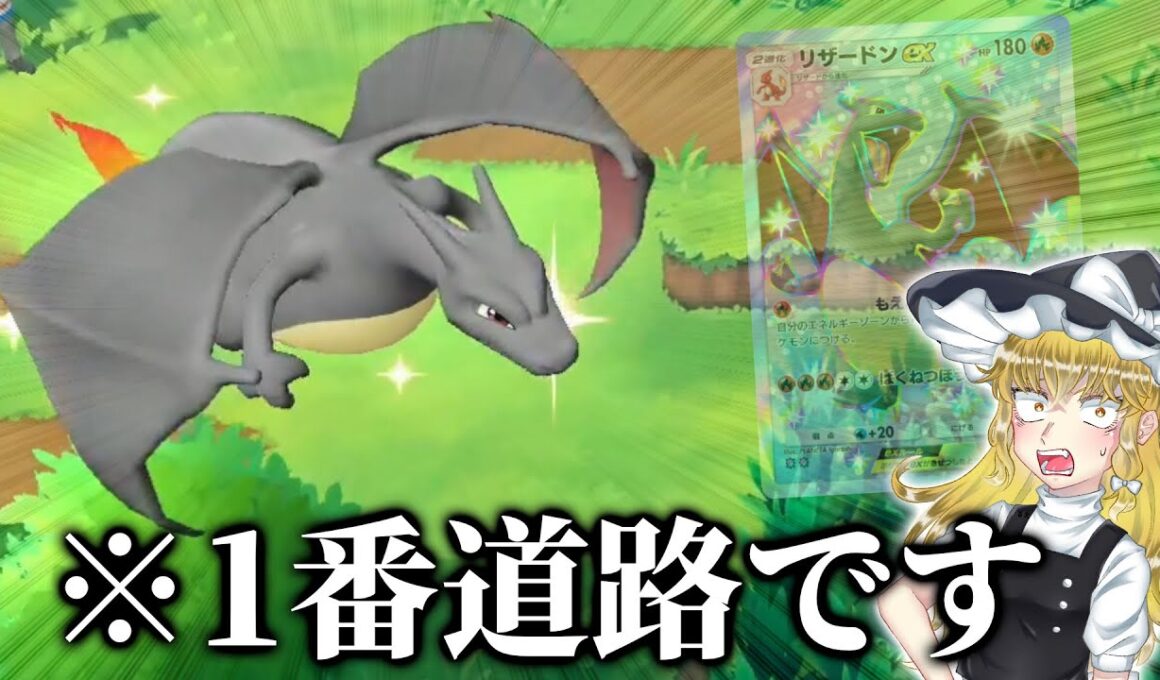 改造..!? 1番道路に色違いリザードンを発見しました。