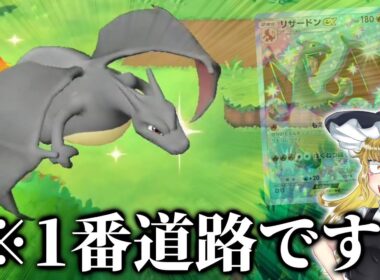 改造..!? 1番道路に色違いリザードンを発見しました。