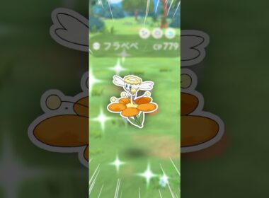 欲しかったフラべべ、全部出た！【ポケモンGO】