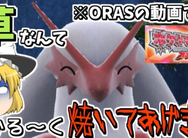 メガバシャーモがすべてを滅却する_#7【ポケモンORAS ゆっくり実況】魔理沙が作る!!草最強伝説最終章