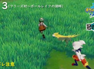【ポケモン剣DLC】#13　パルスワンの襲撃に負け続けている（フリーズ村～ボールレイクの湖畔）【ポケットモンスター ソード DLC 冠の雪原】