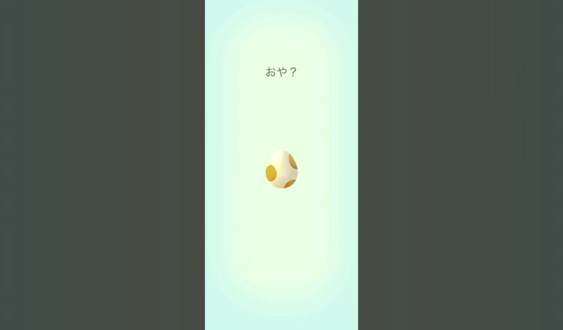 【Pokémon GO】 5km  Egg  Indeedee GET✨